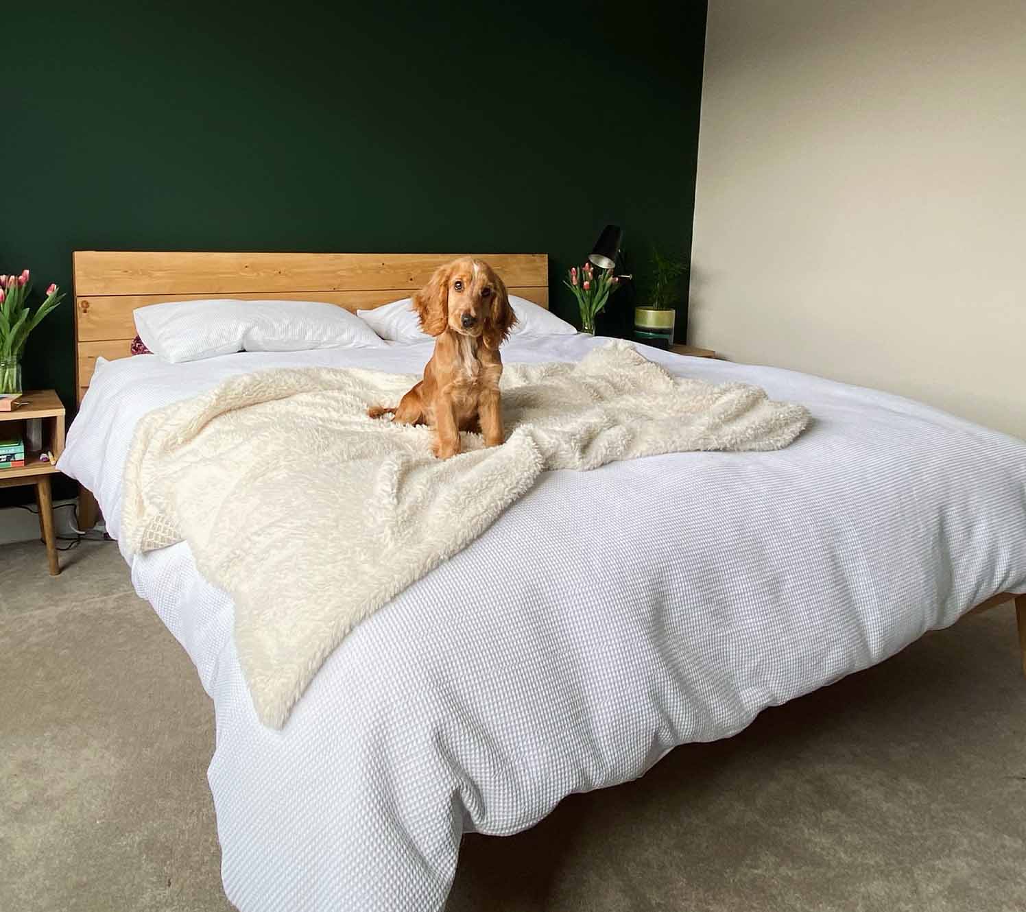 Darker shades master bedroom theme ideas