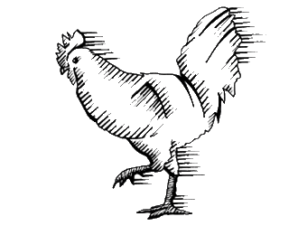 Sketched Chicken