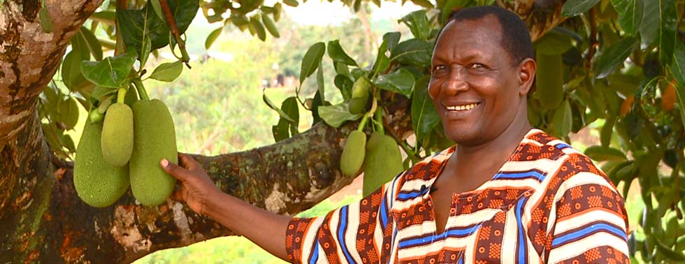 Man With Fruit Tree