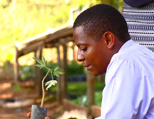 Man With Tree Sapling